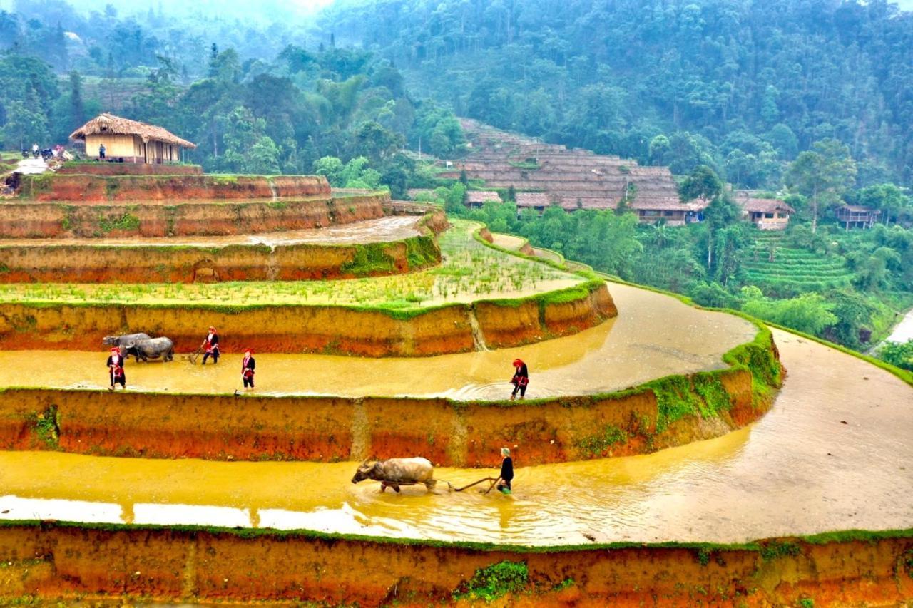 Hoang Su Phi Bungalow ภายนอก รูปภาพ