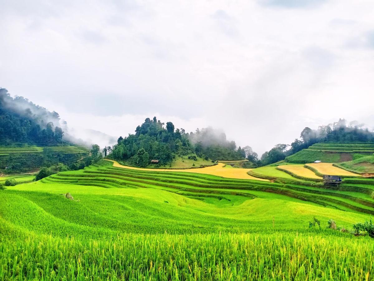 Hoang Su Phi Bungalow ภายนอก รูปภาพ