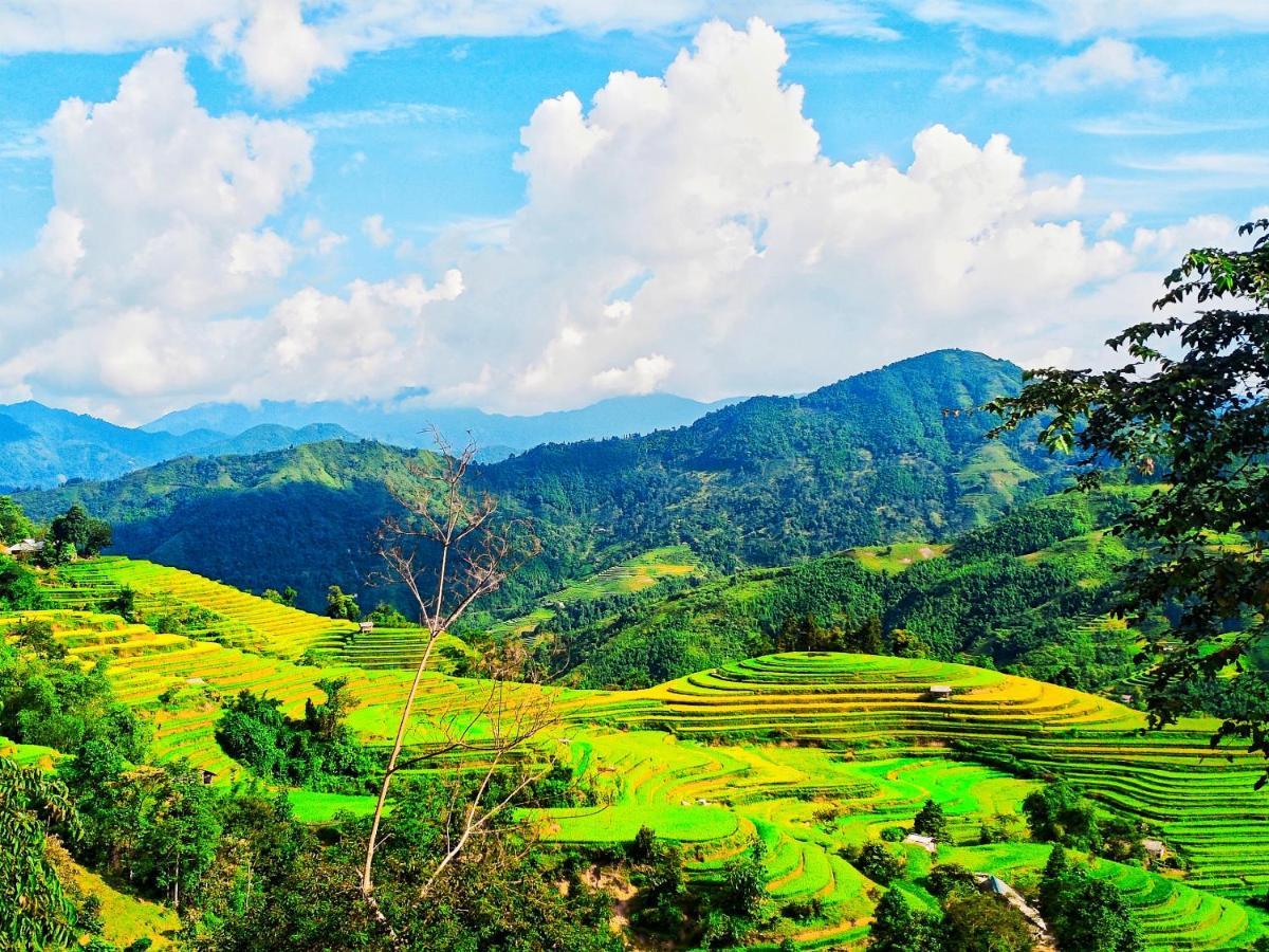 Hoang Su Phi Bungalow ภายนอก รูปภาพ