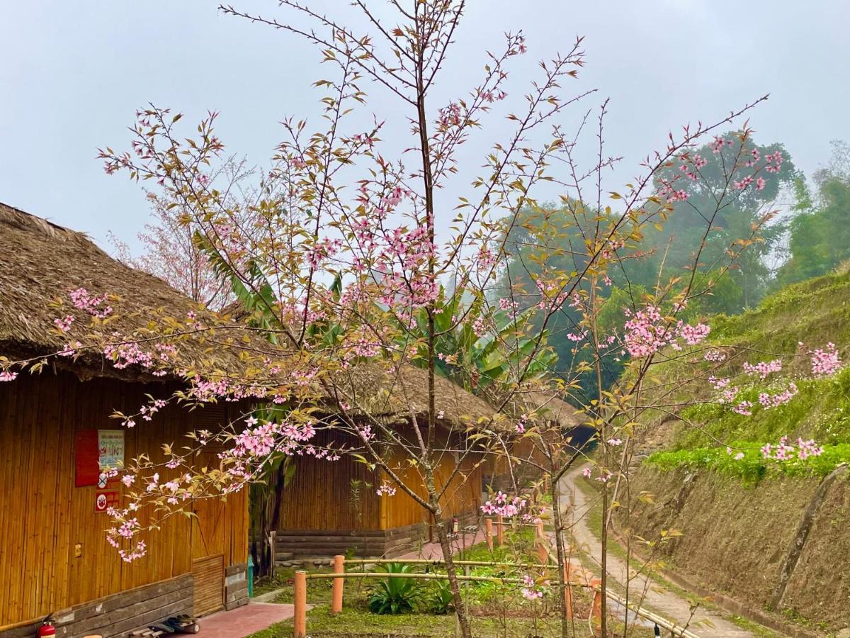 Hoang Su Phi Bungalow ภายนอก รูปภาพ