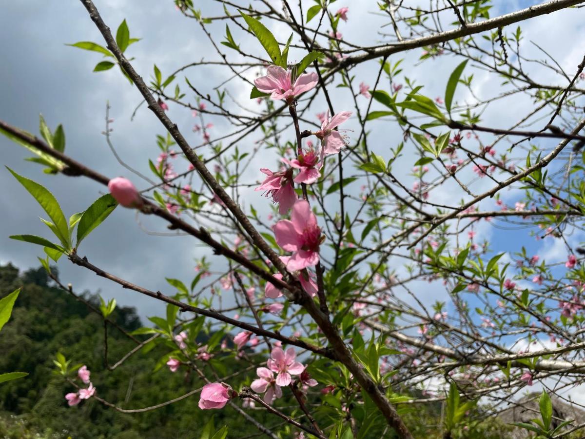 Hoang Su Phi Bungalow ภายนอก รูปภาพ